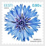 [Cornflower, type BDU]