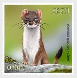 [Fauna - The Stoat, type BEG]