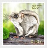 [Fauna - The Siberian Flying Squirrel, type BFO]