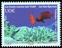 [The Seabed of TAAF, प्रकार AOL]