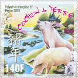 [Chinese New Year - Year of the Pig, type AZN]