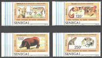 [Animals of Basse Casamance National Park, Вид ACE]