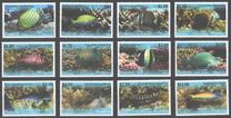[Tropical Fish of the Pacific - With White Frame, type UU]