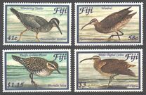 [Migrating Shorebirds, type AKN]