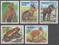 [Airmail - Wild Animals, Tipe DVD]