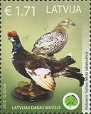 [Latvian Museum of Natural History Exhibit - Aberrant Birds, Tip ABR]