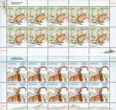 [Fauna of Armenia, type ZY]