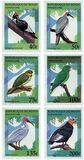 [Birds, Tipe UN]
