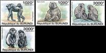 [Fauna - Primates, Tipi BMS]