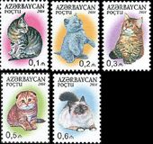 [Domestic Cats, type AKN]