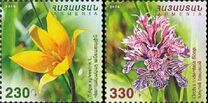 [Flowers of Armenia, Typ ARY]