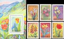 [Flowers of Uzbekistan, type AI]