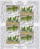 [Flora - Endangered Plants of Belarus, type AFQ]