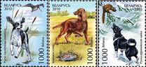 [Hunting Dogs, Tüüp ADA]