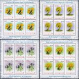 [Flora - Medicinal Plants, type ABA]