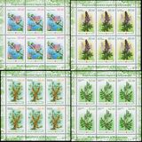 [Flora - Medicinal Plants, type AAO]