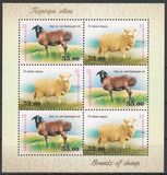[Breeds of Sheep, Typ ACO]