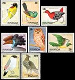 [Birds from the Nyungwe Forest, type AFY]