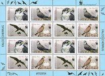 [WWF - Saker Falcon, type TK]