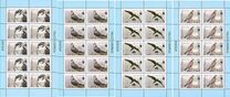 [WWF - Saker Falcon, type TK]