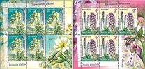 [Flowers - Endangered Plants of Belarus, typ ADJ]