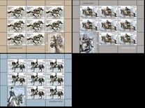 [Equestrian Sport, tip AEC]