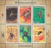 [Arachnids, Tipi YQ]