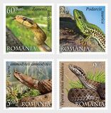 [Reptiles of Romania, type JHK]
