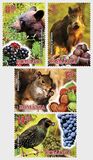 [Fruits and Fauna, Вид JVV]