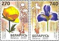 [Flowers, type PZ]