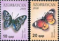 [Butterflies, type AAN]