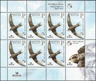 [Bird of the Year - Black Swift, type AFN]