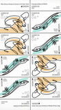 [Europa Stamps - Endangered National Wildlife, Вид BFS]