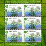 [International Year of Plant Health, Scrivi AOU]