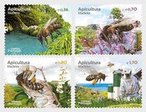 [Beekeeping, Tipi KT]