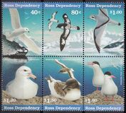 [Sea Birds, tip XXM]
