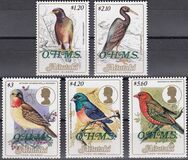 [Birds, Tipi LM]