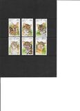 [Wild Cats, Typ TD]