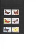[Butterflies, tipo AWU]