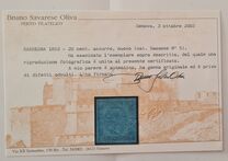 [King Victor Emmanuel II - Printed on Coloured Paper, type B1]