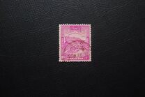 [Local Motifs, type XYE]