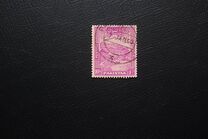 [Local Motifs, type XYE]