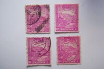 [Local Motifs, type XYE]