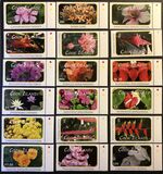 [Flora - Flowers, Size: 62 x 39mm, tip AHZ]