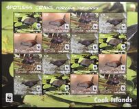 [WWF - Spotless Crake, type ATI1]