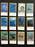 [Pacific Marine Life - Marae Moana, نوع AWW]
