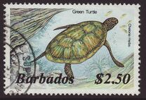 [Marine Life, tegund RX]