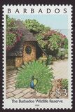 [Pride of Barbados, tegund AFM]