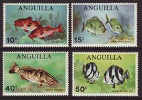 [Saltwater Fish, प्रकार AY]