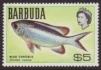 [Fish, type I]